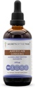 Segreti della Tribe American Ginseng Tincture Alcohol-Free Liquid Extract, Farm Grown American Ginseng (Panax Quinquefolius) Dried Root (4 FL OZ)