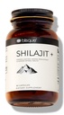 Blisque – Pure Himalayan Organic Shilajit Resina Capsule | Autentico e Naturale | Grado d'oro A | Contiene acido Fulvico e minerali Trace | 90 capsule