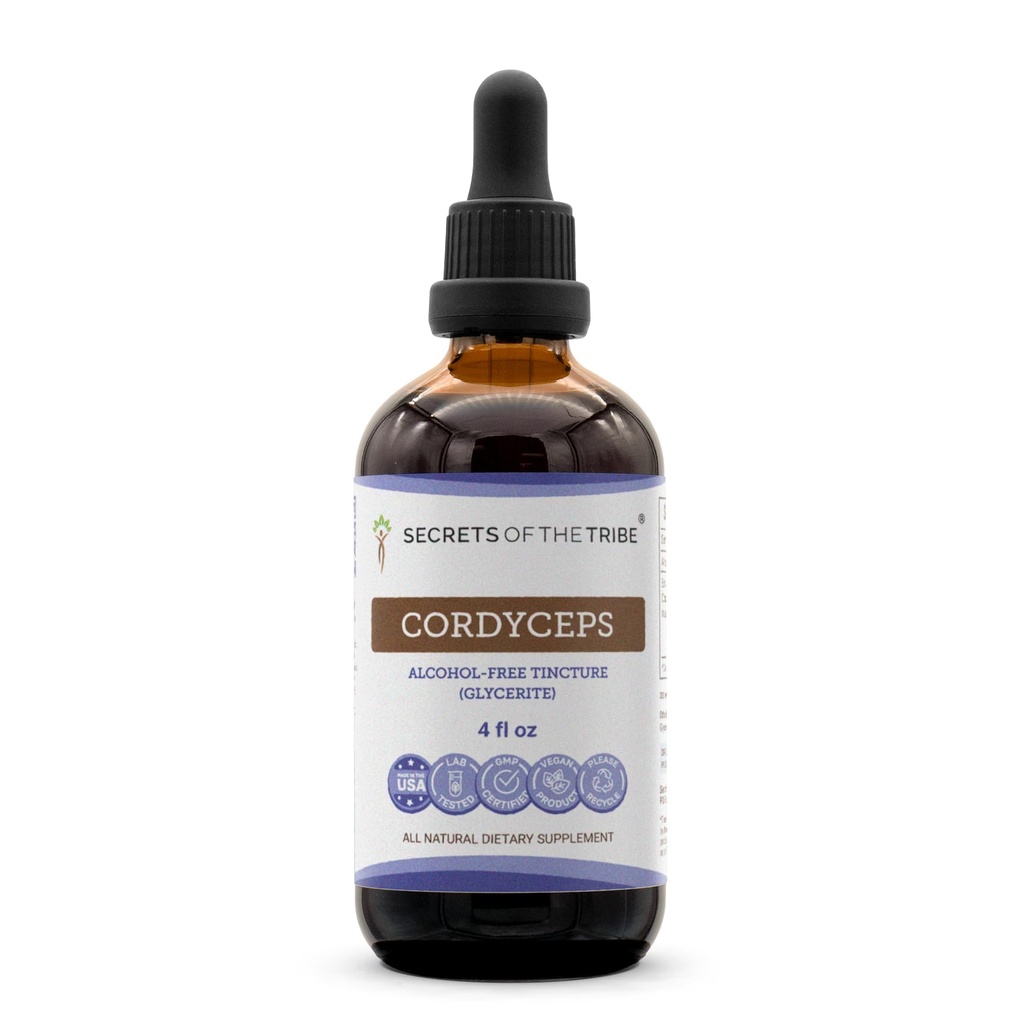 Segreti della Tribe Cordyceps Alcohol-Free Liquid Extract, Cordyceps Sinensis Dried Mushroom Tincture Supplement (4 FL OZ)