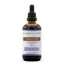 Segreti della Tribe Cordyceps Alcohol-Free Liquid Extract, Cordyceps Sinensis Dried Mushroom Tincture Supplement (4 FL OZ)