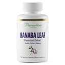 erbe di paradiso, Foglia di banana, 12:1 estratto concentrato, 250 mg, Vegan, senza glutine, Non OGM, 180 capsule