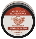 American Provenance Premium Natural Beard and Mustache Balm for Men with Shea Butter, Jojoba Oil, Argan Oil - Grooming Balm che Condizioni, Moisturizes and Strenthens Beards and Mustaches of Any Lunghezza | Lemongrass & Marjoram, 2 oz (Pack of 1)