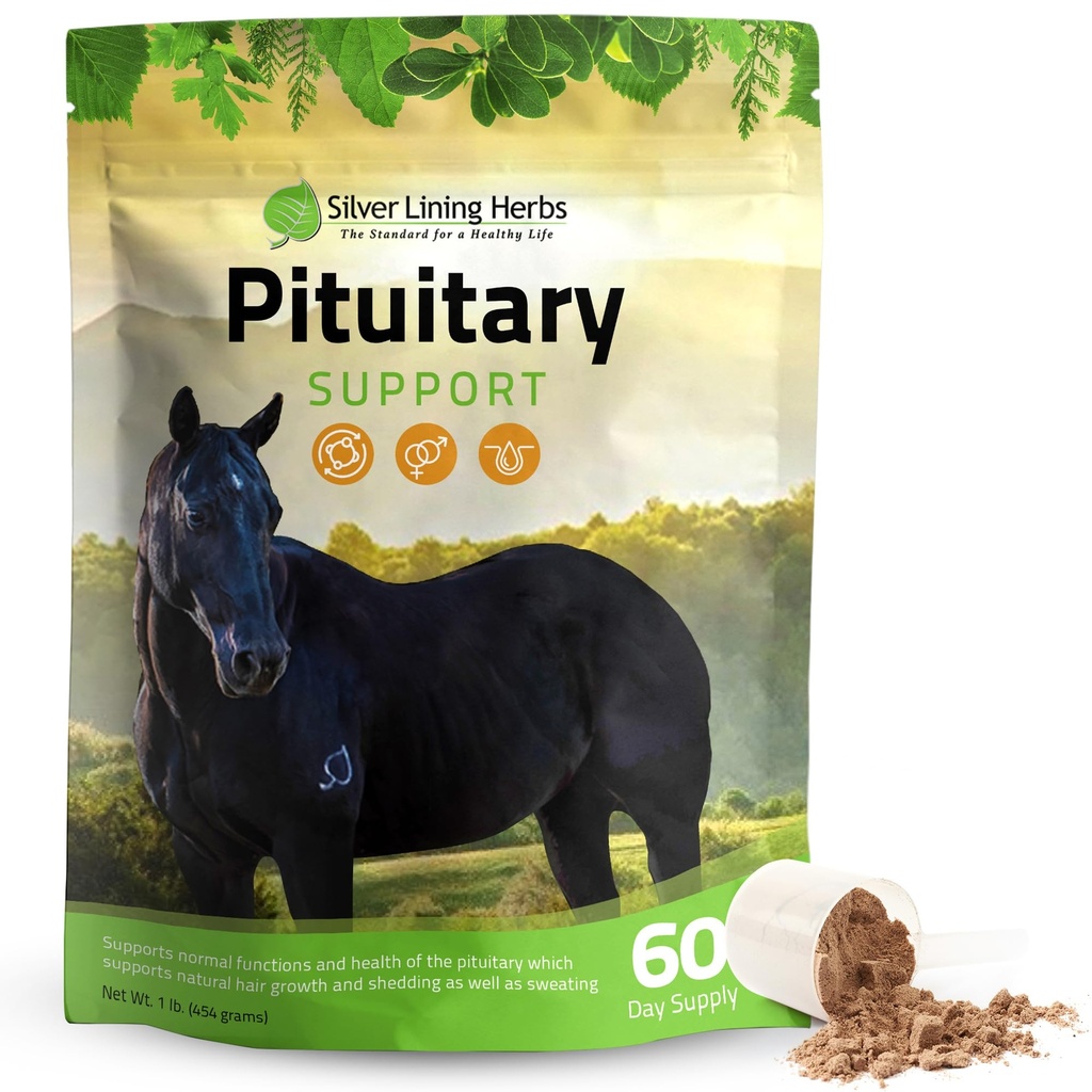 Silver Lining Herbs Pituitary Gland Integratori per Cavalli - Integratori di cavalli per Equine Metabolic Support, Cushing’s, Sweating & Shedding Issues - Mood & Energy Horse Supplement - 1 lb 60-Day Supply