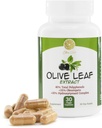 Estratto di Foglie di Oliva - 500mg - Supplemento Standardizzato al 25% Oleuropeina - 20% Hydroxytyrosol - 40% Polifenoli - Non OGM + Gluten Free + Dairy Free + Soy Free + Vegan (30 capsule)