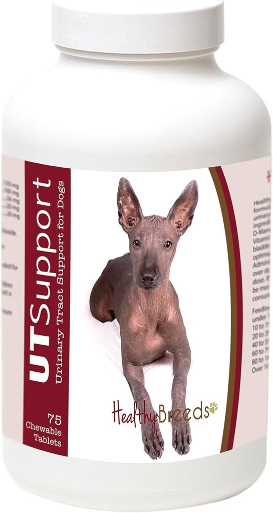 Allevamenti sani Xoloitzcuintli Mirtillo Chewables - Supporto UT - Efficace nell'aiutare a combattere i batteri nocivi e prevenire l'infezione nella vescica del vostro cane - 75 Conte