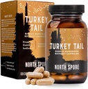 Capsule di supplemento di funghi | Stamina & Endurance | Fornitura di 60 giorni | Miscela di alta potenza | 100% Estratti di corpo di fruttificazione | Vegan, Non-GMO | 120ct
