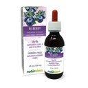 Naturalma Bilberry o mirtillo europeo (Vaccinium myrtillus) Tintura senza alcool di frutta - 4 fl oz Estratto liquido in gocce - Integratore di erbe - Vegan