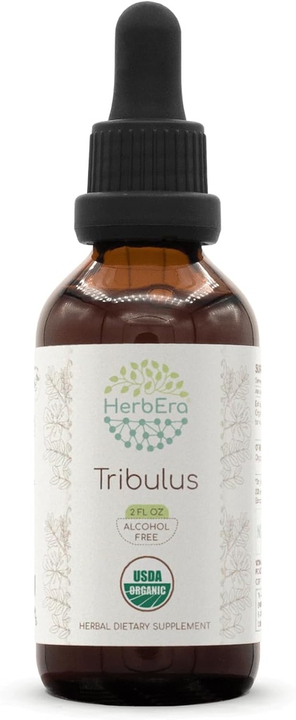 HerbEra Tribulus B60 Estratto di erbe senza alcool Tintura, gocce liquide concentrate Natural USDA Organic Tribulus (Tribulus Terrestris) Frutta secca (2 fl oz)