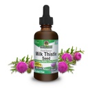 Natural's Answer Milk Thistle 2 Ounce Extract - Alcohol Free, Non OGM, Liver Support Supplement per Tutti - Liver Detox, Made in USA