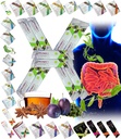 Tutti Natural Detox Cleanse Instant Tea Mix Prune & Plum w. Fibra & Inulina per Transit Intestinale ottimale di FuXion Prunex 1 (10 Sachets)