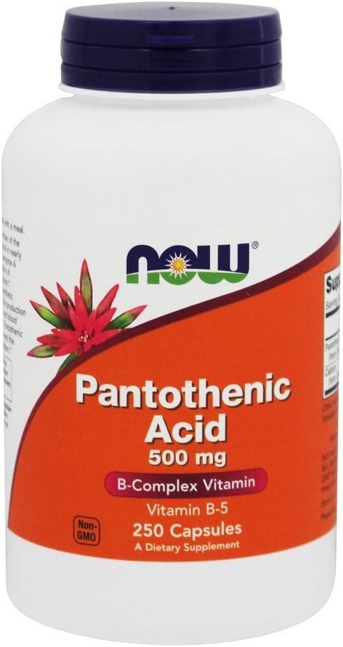 Ora Foods Acido pantotenico, 250 tappi / 500 mg (pacchetto di 2)
