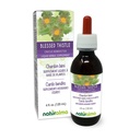 Naturalma Beato Thistle o Santo Thistle (Cnicus benedictus) erba con fiori Alcohol-Free Tincture - 4 fl oz Liquid Extract in Drops - Herbal Supplement - Vegan