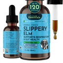 Animal Essentials Slippery Elm - Slippery Elm Bark Anti Diarrhea Gocce per cani e gatti, Estratto di erbe organico per Gut sano, Digestivo & Throat Support, Aiuta il Reflux acido, Formula liquida 1 fl oz