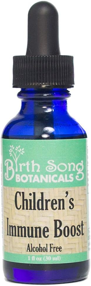 Birth Song Botanicals Children's Immune Boost Tincture*, Kids Immune System Support Supplement with Echinacea, Liquid Herbal Immune Drops for Kids, Children's Echinacea Herb Immune Formula 1oz Bottiglia