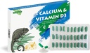 Calcium Reptile Supplemento con vitamina D3,Ideale aggiunto per draghi orsi, tartarughe e altro