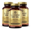 Solgar L-Lysine 500 mg - 100 capsule vegetali, Confezione da 3 - Skin & Tissue Support - Non-GMO, Vegan, Kosher, Gluten Free - 300 Total Servings