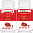 Liposomal Urolithin A Supplemento 2000MG per Energy 120 capsule