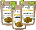 Polvere di radice dorata naturale di Naturefi - 10,5 oz, 300 Serve *USDA Organic | Lab Tested* Pure Natural Goldenseal Root Powder Supplement