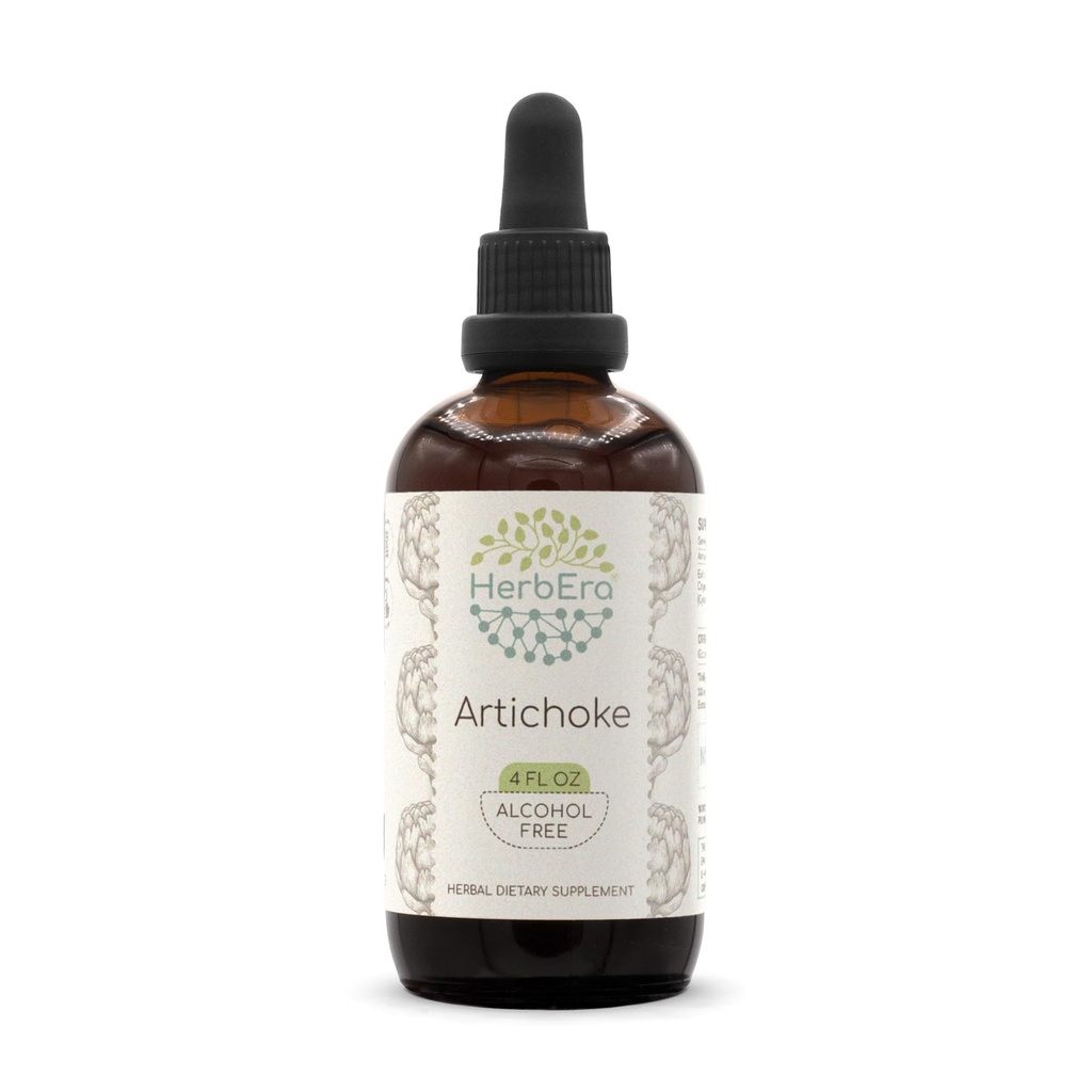Carciofo di HerbEra B120 Tintura di Estratto di erbe senza alcool, Carciofo naturale di gocce di liquido concentrato (Cynara scolymus) (4 fl oz)