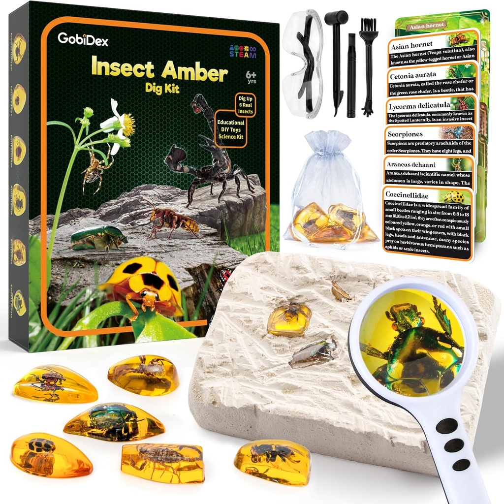 GobiDex Ambra Dig Kit-Artificial Insect Resina, Excavate 6 insetti Spettacoli, STEM Geografico Bugs Giocattoli educativi, Giocattoli di scavazione per divertimento Bugs Party Preferiti, Kit di scienza per bambini Età 6-8 8-12