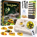 GobiDex Ambra Dig Kit-Artificial Insect Resina, Excavate 6 insetti Spettacoli, STEM Geografico Bugs Giocattoli educativi, Giocattoli di scavazione per divertimento Bugs Party Preferiti, Kit di scienza per bambini Età 6-8 8-12