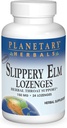 Slippery Elm Lozenges, Herbal Throat Support, 24 Lozenge