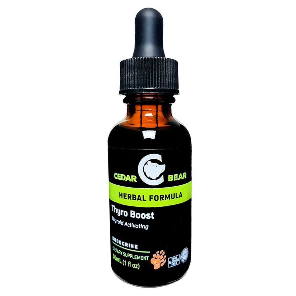 L'orso di cedro Thyro Boost un supplemento di erbe liquido che aiuta a attivare e costruire la funzione tiroide e l'integrità strutturale 1 Fl Oz