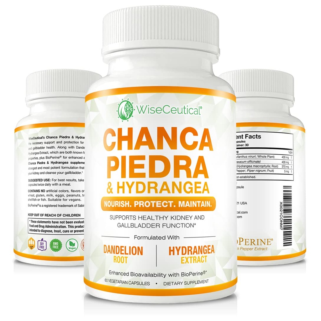 Max Strength Chanca Piedra, Hydrangea & Dandelion Root - Natural Kidney & Gallbladder Formula - Stone Breaker, Flush Impurities, Cleanse Urinary Tract - Migliorato con BioPerine. 60 capsule vegetali.