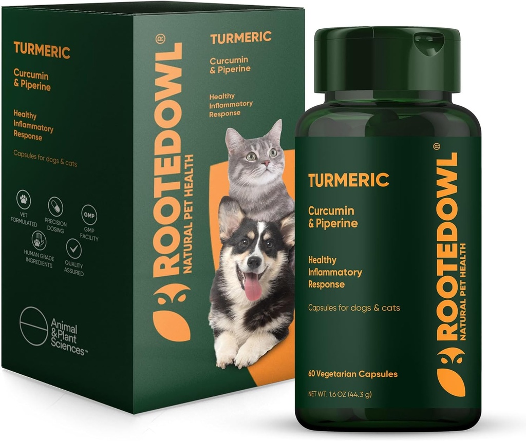 Curcuma di Gufo - Supplemento di curcuma per cani e gatti - con Curcumina, Piperina e Vitamina C per Rilievo Anti-infiammatorio - 60/ct