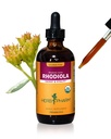 Estratto di radice di Rhodiola organico certificato di Herb Pharm per energia, resistenza e stamina, glicerite senza alcool, 4 oncia
