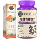 Giardino della vita Organici Elderberry Immune Gummies, 120 Conte & B12 Vitamin Raspberry Spray, 500mcg, 2oz