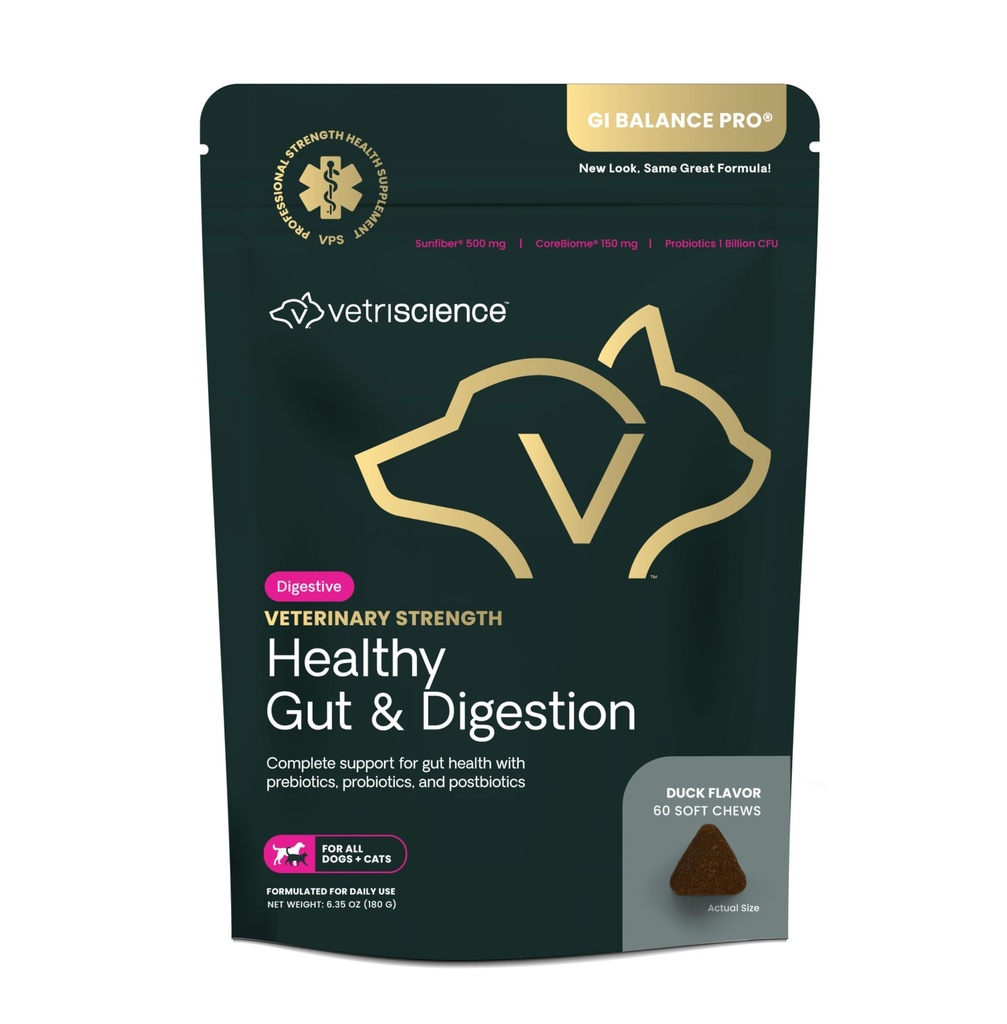VetriScience Veterinary Strength Healthy Gut & Digestion - Pet Digestive Health Supplement for Cats & Dogs - Gut Health & Immune Support - Caratteristiche Probiotici, Prebiotici & Postbiotici - 60 Conte