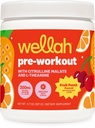 Wellah Pre-Workout Drink Mix (Fruit Punch Flavored, 30 Serve) - con Citrulline Malate e L-Theanine, 200mg di caffeina naturale & 1000mg di Beta-Alanine