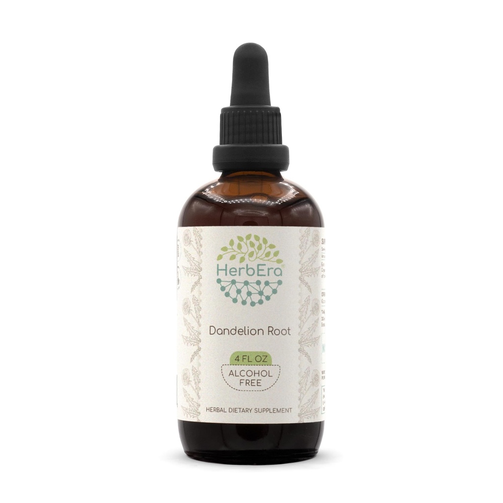 HerbEra Dandelion Root B120 Alcohol-Free Estratto di erbe Tintura, Dandelion Super-Concentrato (Taraxacum Officinale) Radice secca (4 fl oz)
