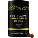 Shilajit Gummies | Gummies Alpha per gli uomini | Lab Tested I No Aggiunto Sugar | Ashwagandha, Gokshura | Acido Fulvic & 85+ Minerali Trace per gli uomini, Donne | Non-GMO | 60 Gummy