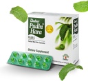 Dabur Pudin Hara Pearls - Supplementi quotidiani di cura per gli uomini e le donne, aiuta i sintomi di abbattimento di Bloating, acidità, flatulenza e indigestione per la salute digestiva e di Gut, 400 conteggio (Pack of 40)