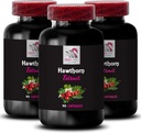 Fonte di bacche selvatiche - HAWTHORN EXTRACT - Flora antica, Miscela di potenza di bacca, Miscela di sorgente di flora, Boost di benessere botanico, Radicato nella tradizione, Tradizione di potere di foglia, Fonte botanica 3Bot 180Caps