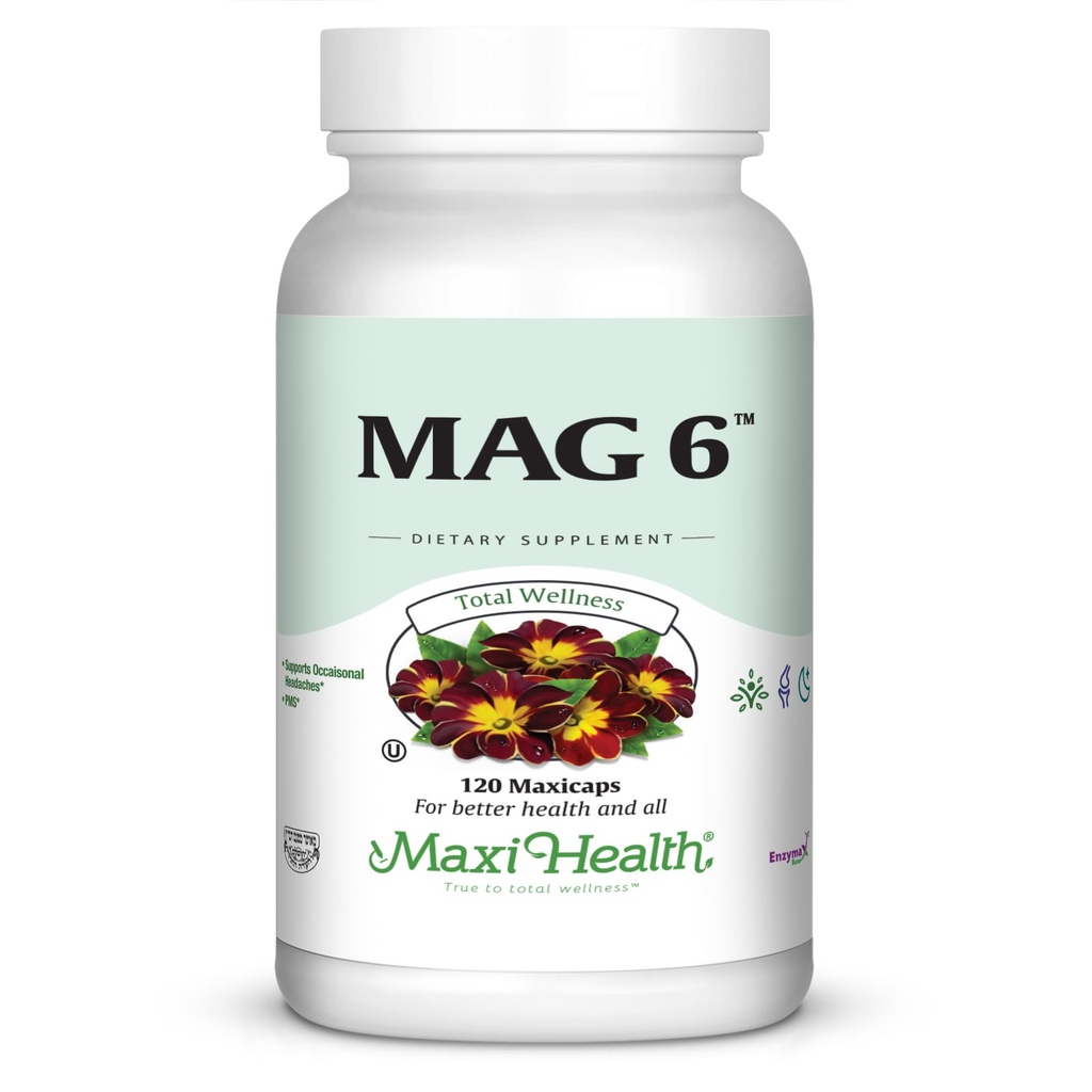 Maxi Salute MAG 6 - Magnesio (come Ossido, Glycinate) con Vitamina B6 - Migraina, Crampi muscolari, Supporto di Pietra Renale - Magnesio Supplemento per Donne & Uomini - 120 Capsule - Kosher