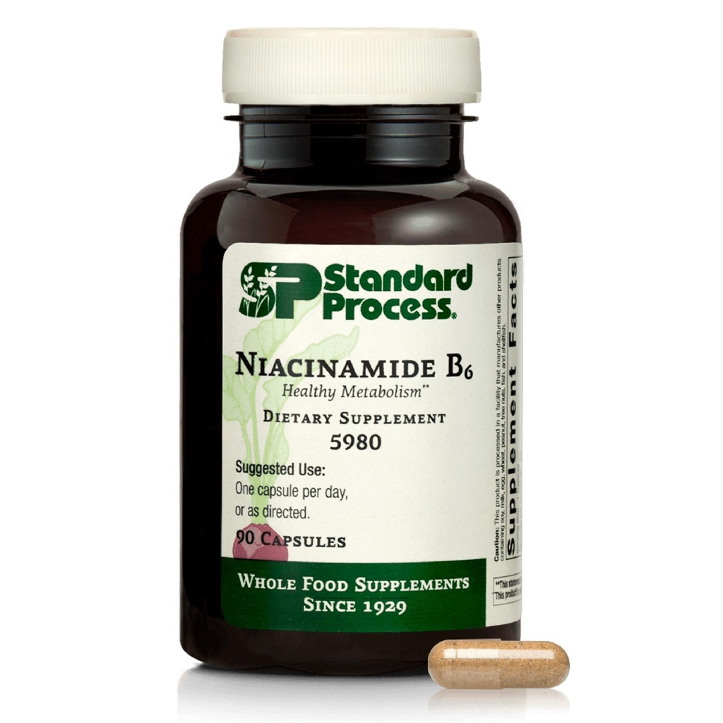 Processo standard Niacinamide B6 - Supporta il metabolismo energetico e la salute del sistema nervoso - aiuta il flusso sanguigno e la salute digestiva con Niacin & Vitamina B6 - Non-Dairy - 90 capsule