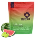 Tailwind Nutrition Endurance Fuel, Carbohydrate & Electrolyte Sports Drink Mix Powder, Gluten-Free, Vegan, Dauwaltermelon, 30 Serve