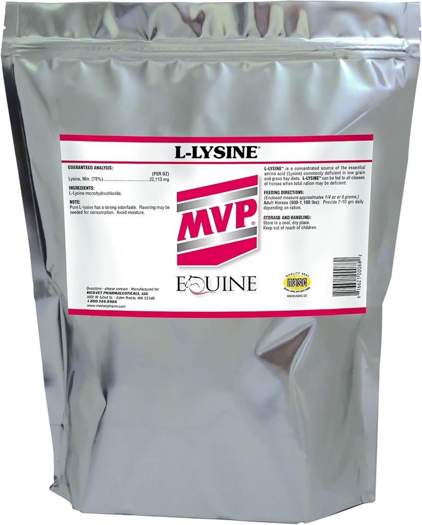 MVP L-Lysine (10lb) per il supporto muscolare/immune di Equine