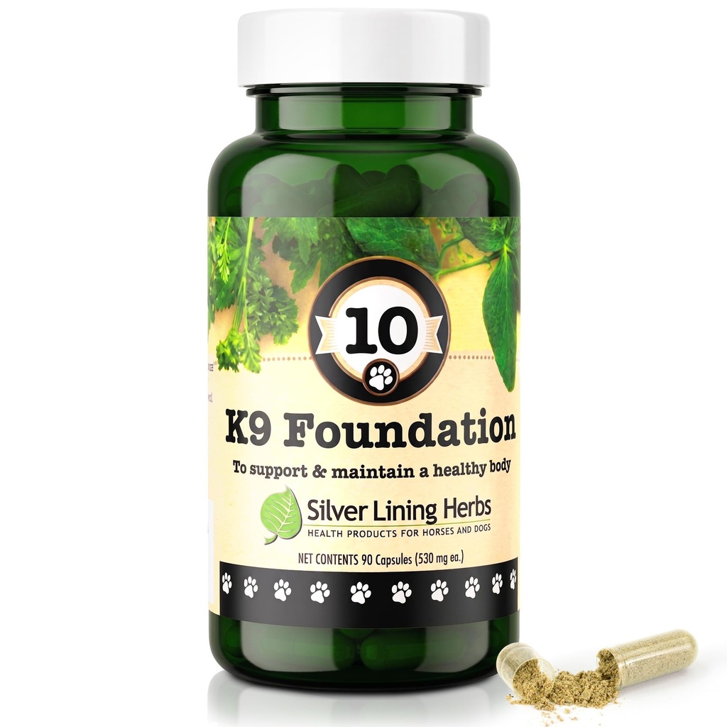 Silver Lining Herbs Integratori di Salute Del Cane 10 K9 Foundation - Integratori Naturali della Canina per Cani Liver, Reni, Digestione, Vitality & Immune System Support for Dogs - 90 Capsule