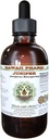 Estratto di liquido senza alcool di Juniper, Ginepro organico (Juniperus Monosperma) Dried Berry Glycerite Hawaii Pharm Natural Herbal Supplement 4 oz