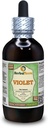 Violet (Viola Yedoensis) Dried Herb Alcohol-Free Liquid Extract (Brande nome: HerbalTerra, Proudly Made in USA) 4 oz