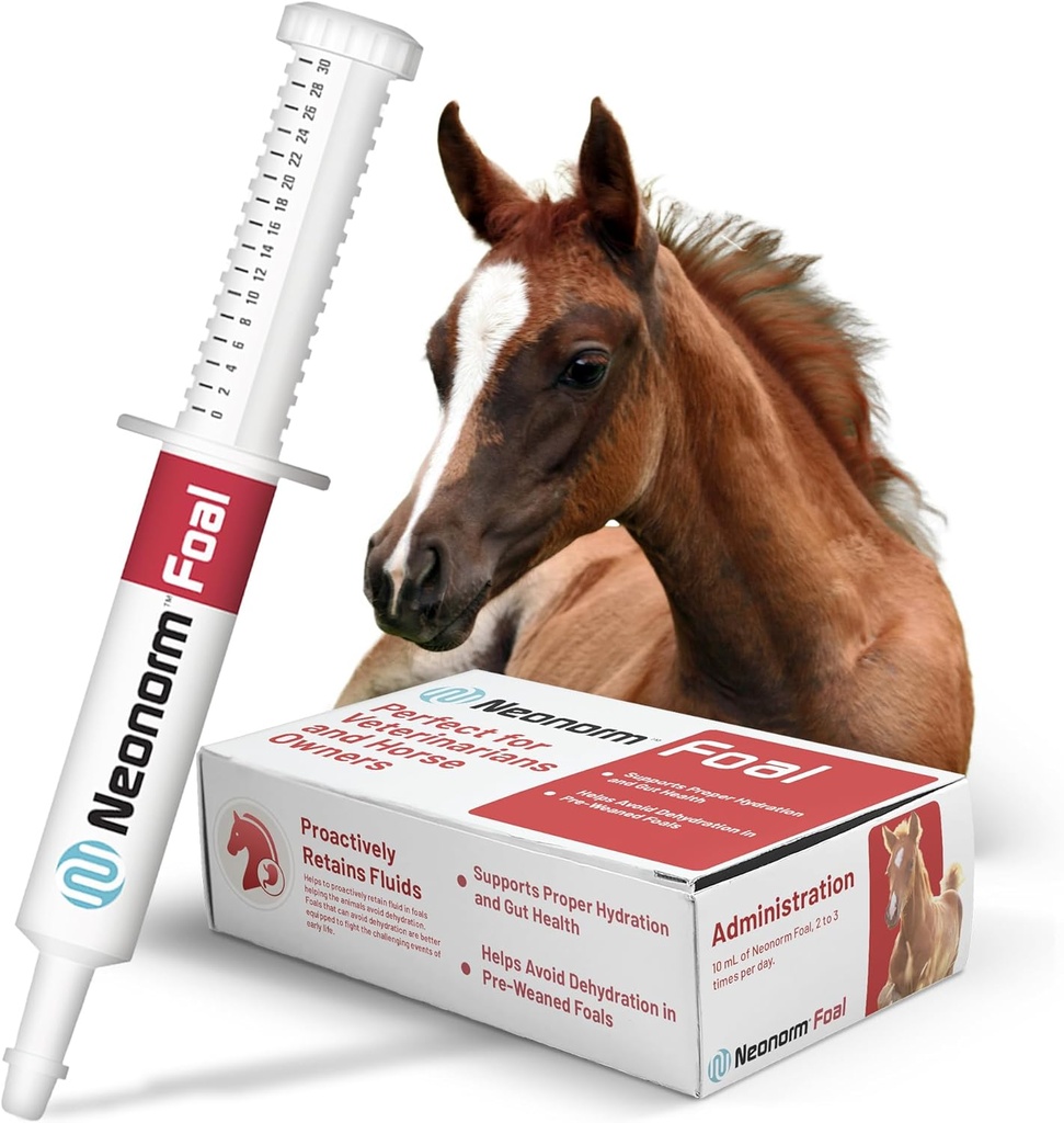 Jaguar Animal Health Foal - Equine Supplement Paste for The Support of Proper Hydration & Bowel Health - Prodotto a base vegetale per i Foals Pre-Weaned (30 mL)
