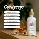 Rainbo - Cordyceps Mushroom Tincture - Dual Extract Mushroom Supplement - Supporto immunitario, Energy, Liquid Cordyceps Supplement, Vegan, Non OGM, 3.4 fl oz