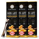 Himalayan Shilajit Bacche di miele per uomini e donne - 75%+ Acido Fulvic & Trace Minerals - Miele crudo, Zafferano & Himalayan Shilajit Resina - Stamina, Performance & Energy Support - (Pack of 30)