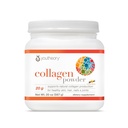 Polvere di collagene di teoria - con aminoacidi, minerali, vitamina C & B7 (Biotina) - Supporta ossa sane, muscoli, capelli, unghie, pelle e articolazioni* - Idrizzata - Vanilla - 20 oz (21 Serve)