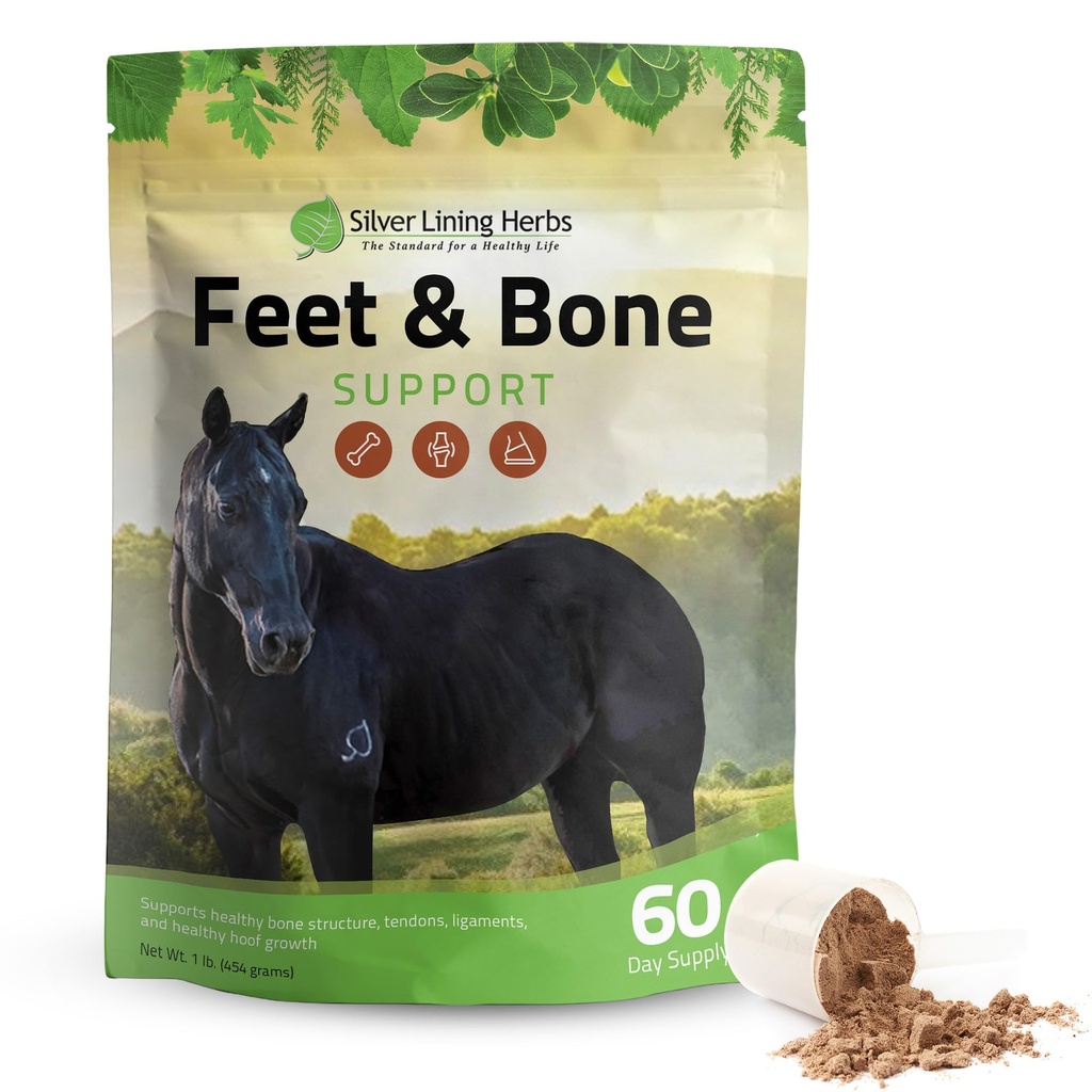 Silver Lining Herbs Piedi & Bone Support Cavallo Supplemento Polveri Tendoni Naturali, Ligaments & Tissues & Hoof Supplement per Cavalli - Normal Limbs Circulation Horse Care Forniture - 1 LB