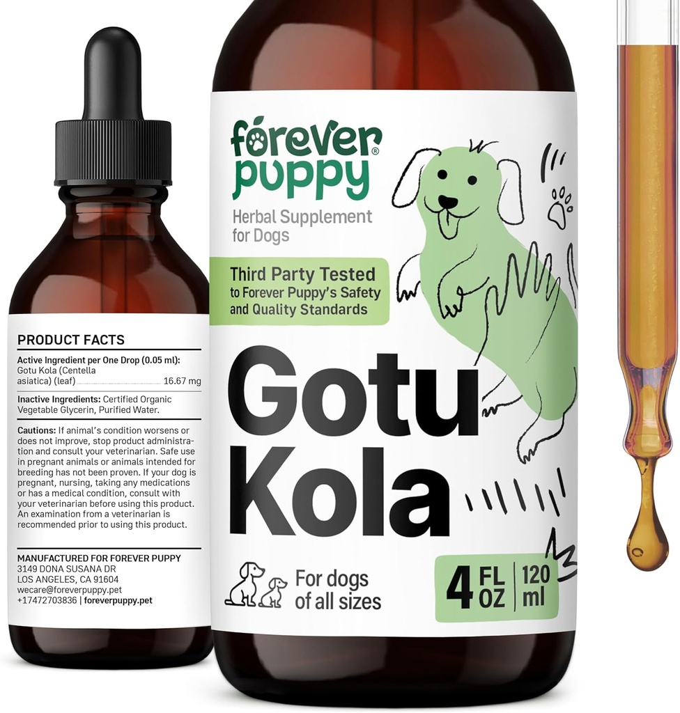 Forever Puppy Gotu Kola gocce per cani - Gotu Kola Extract & Centella Asiatica per il sostegno della salute del cervello - Integratore nutrizionale del cervello per cani di tutte le razze e dimensioni - 4 oz